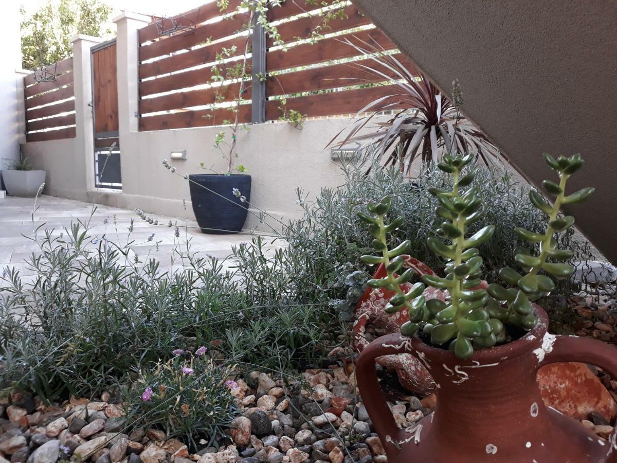 Apartmani Diana 比奥格勒·纳·莫鲁 外观 照片