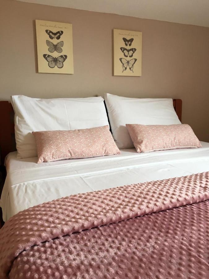 Apartmani Diana 比奥格勒·纳·莫鲁 外观 照片