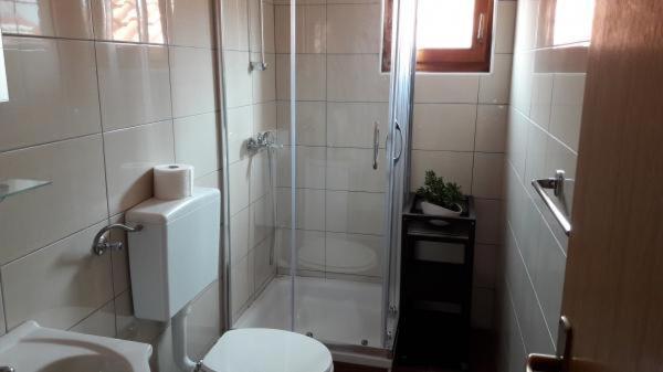 Apartmani Diana 比奥格勒·纳·莫鲁 外观 照片