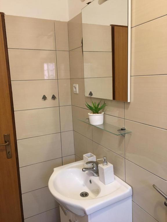 Apartmani Diana 比奥格勒·纳·莫鲁 外观 照片